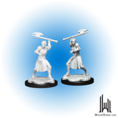 Critical Role Unpainted Miniatures: Half-Elf Echo Knight / Female